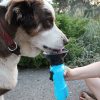 Купить Поилка для собак Aqua Dog в Москве по недорогой цене