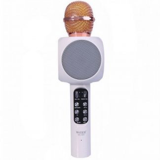Купить Колонка с функцией микрофона караоке WSTER WS-1816 белый в Москве по недорогой цене